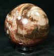 Colorful Petrified Wood Sphere #15111-1